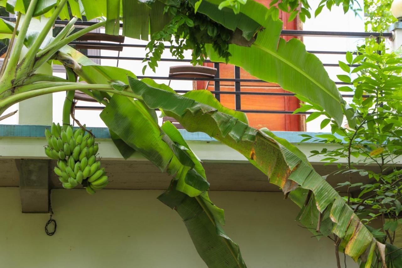 An An Homestay Bungalow Phong Nha Buitenkant foto