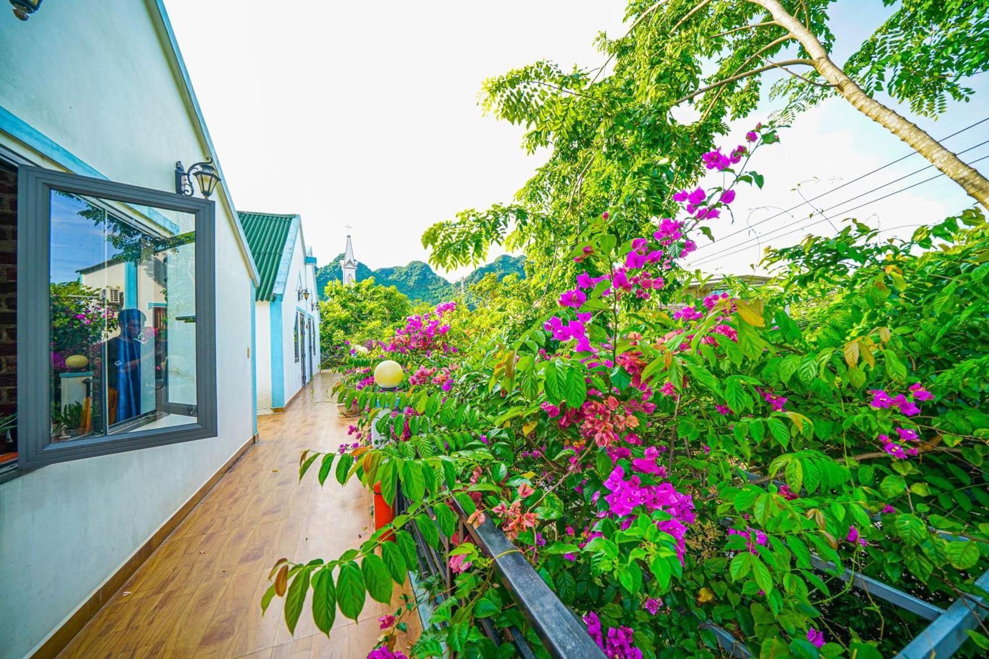 An An Homestay Bungalow Phong Nha Buitenkant foto
