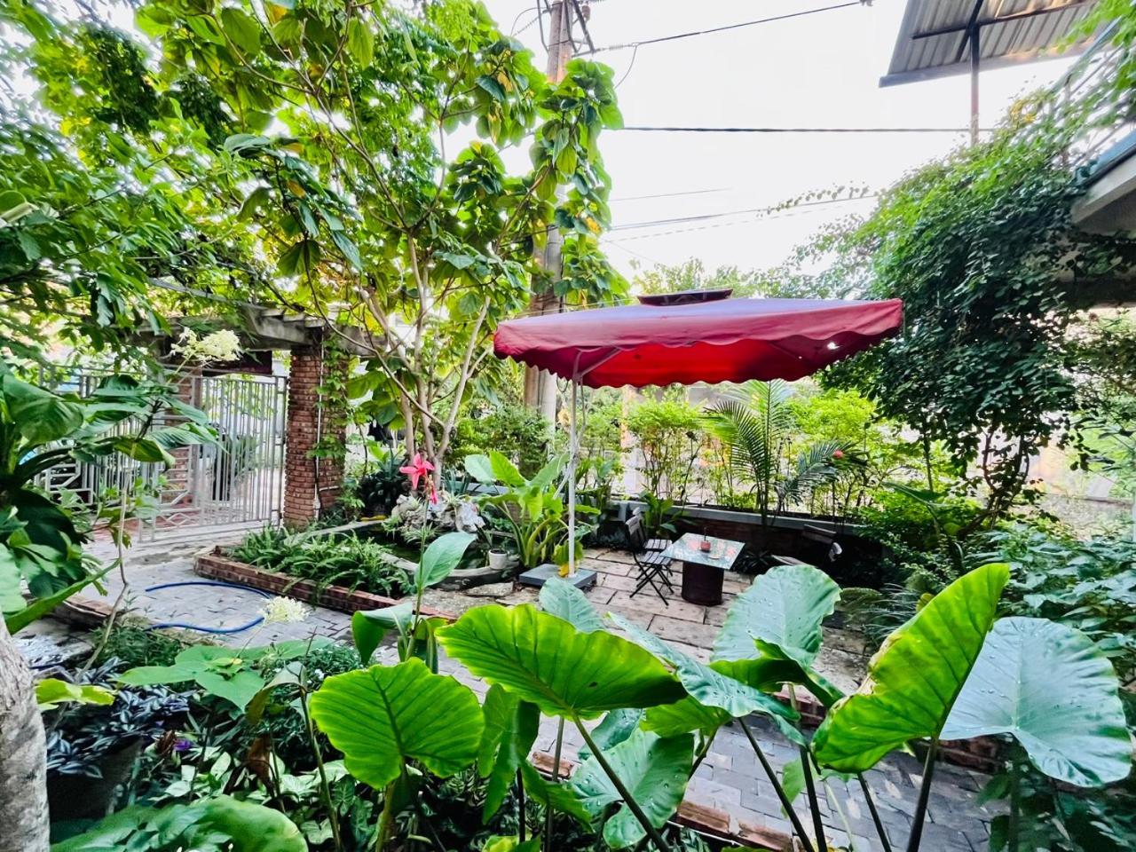 An An Homestay Bungalow Phong Nha Buitenkant foto