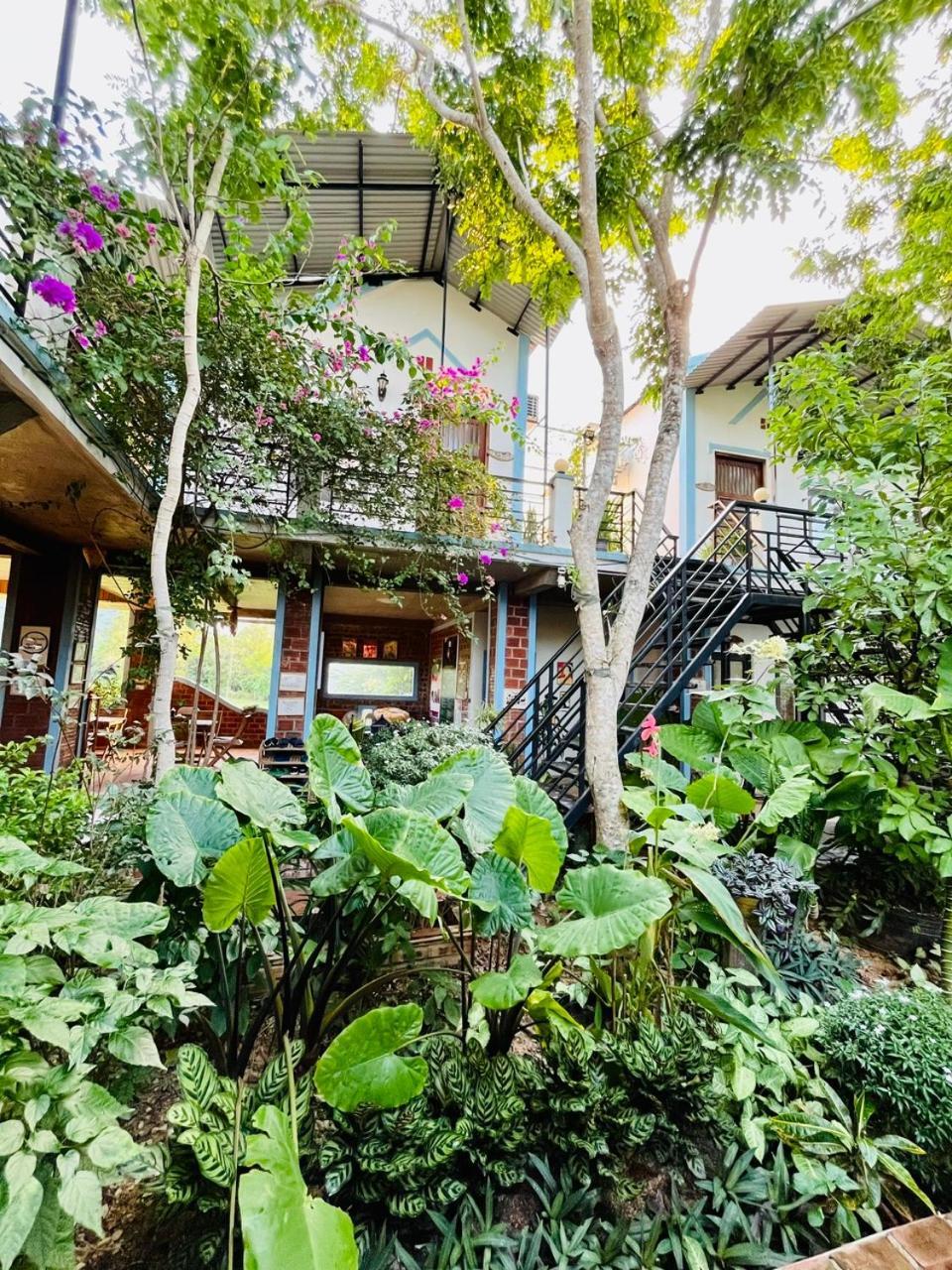 An An Homestay Bungalow Phong Nha Buitenkant foto