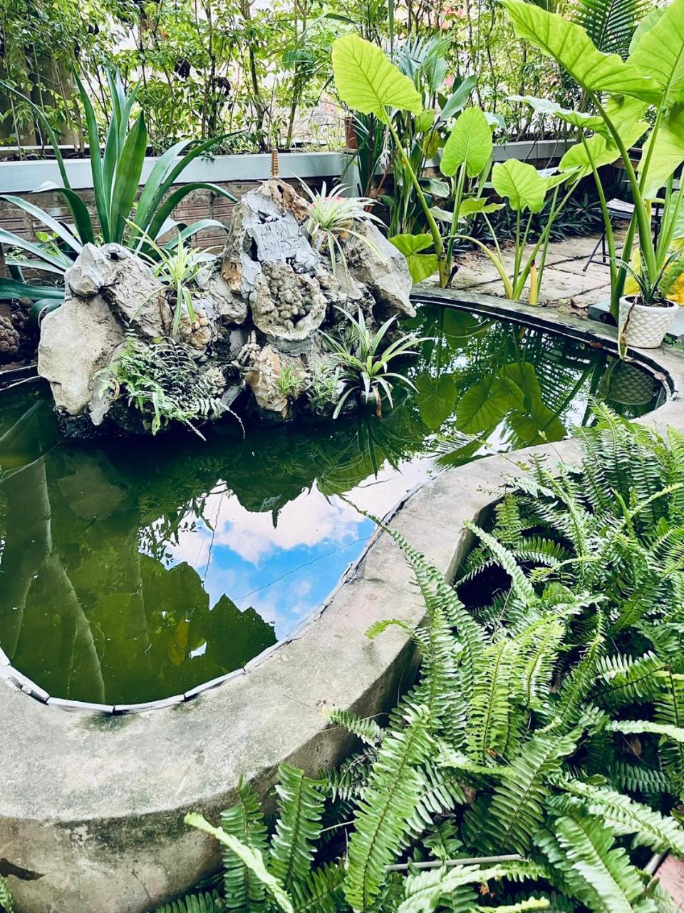 An An Homestay Bungalow Phong Nha Buitenkant foto