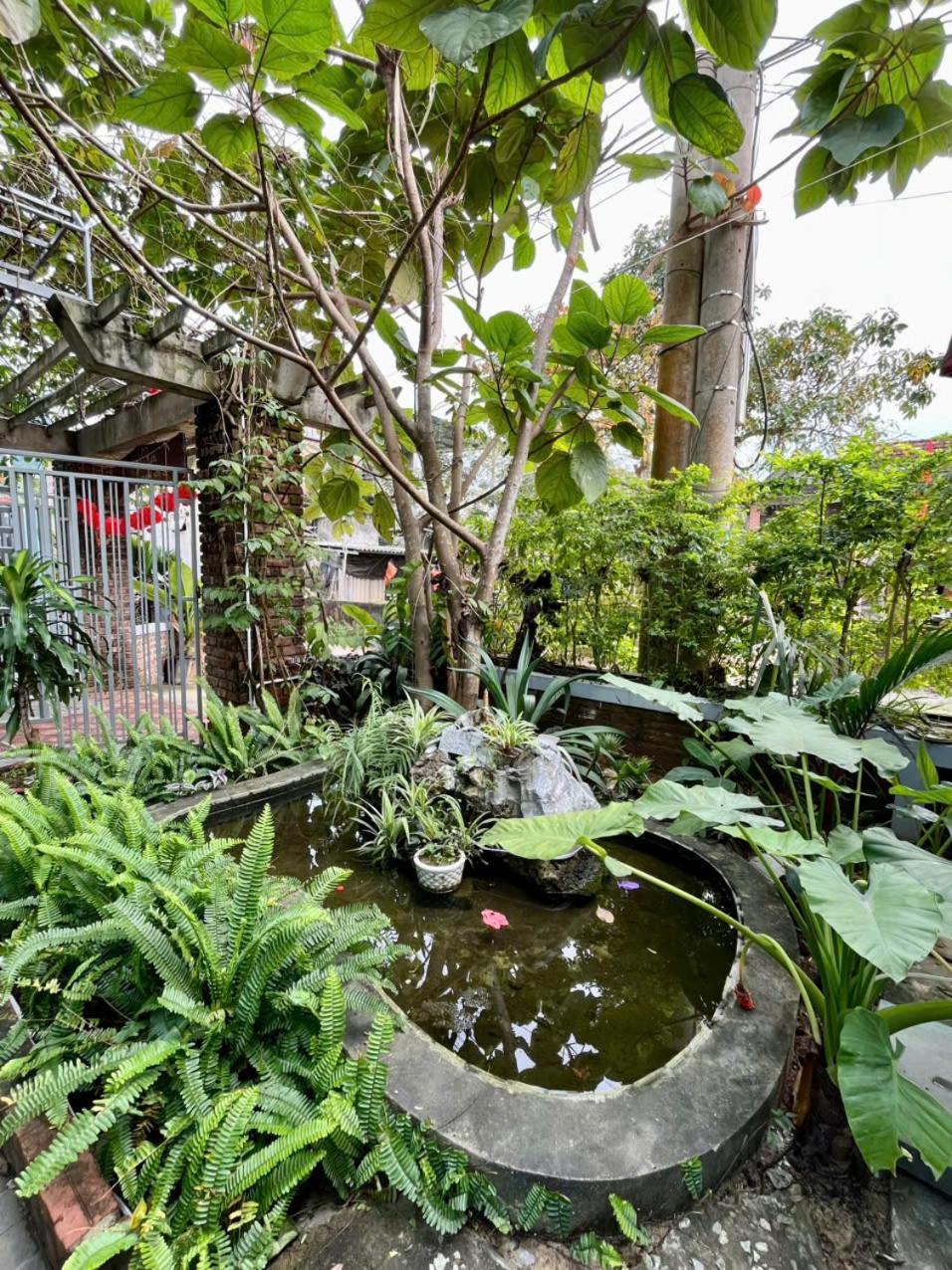 An An Homestay Bungalow Phong Nha Buitenkant foto